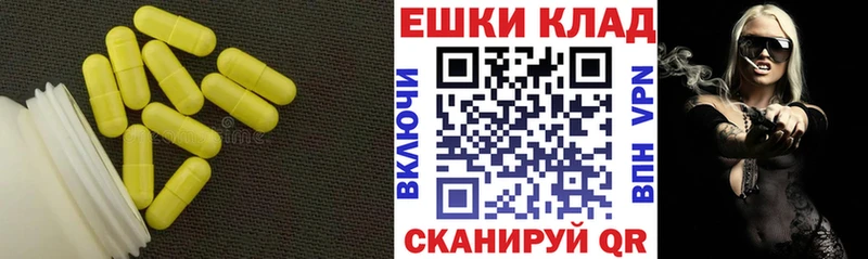 площадка официальный сайт Северодвинск ЭКСТАЗИ бентли что такое наркотик