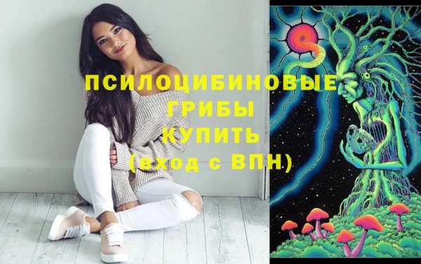 PSILOCYBIN Волоколамск