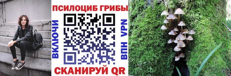 закладка Северодвинск Псилоцибиновые грибы мицелий