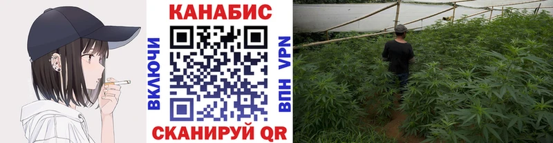Шишки марихуана план  Северодвинск 